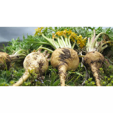 Load image into Gallery viewer, Organic Maca