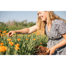 Load image into Gallery viewer, Herbs for the Immune System Workshop with Guest Herbalist, Marissa at Vitality Juice!