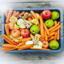 Load image into Gallery viewer, Carrot Glow