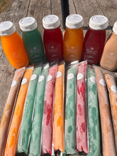 Load image into Gallery viewer, *Seasonal* Freezies!