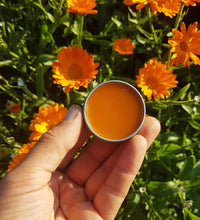 Load image into Gallery viewer, Calendula Balm