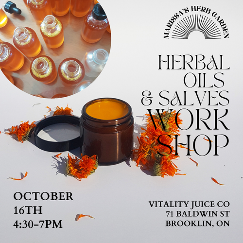 HERBAL OILS & SALVES WORKSHOP @ VITALITY JUICE!